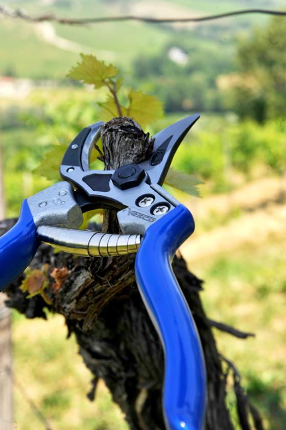 a6 curved anvil pruning shears with slicing cut 2